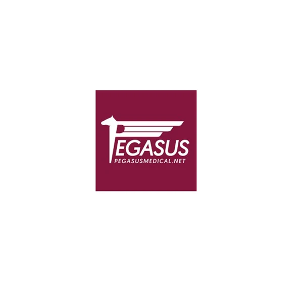 Pegasus — client of J-REX